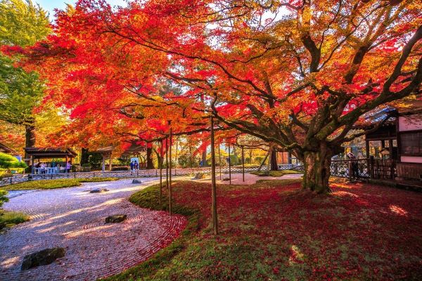 圖片來源：福岡縣觀光連盟提供-九州紅葉景點