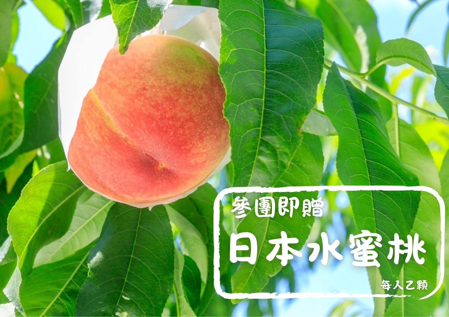 8節老爸專案