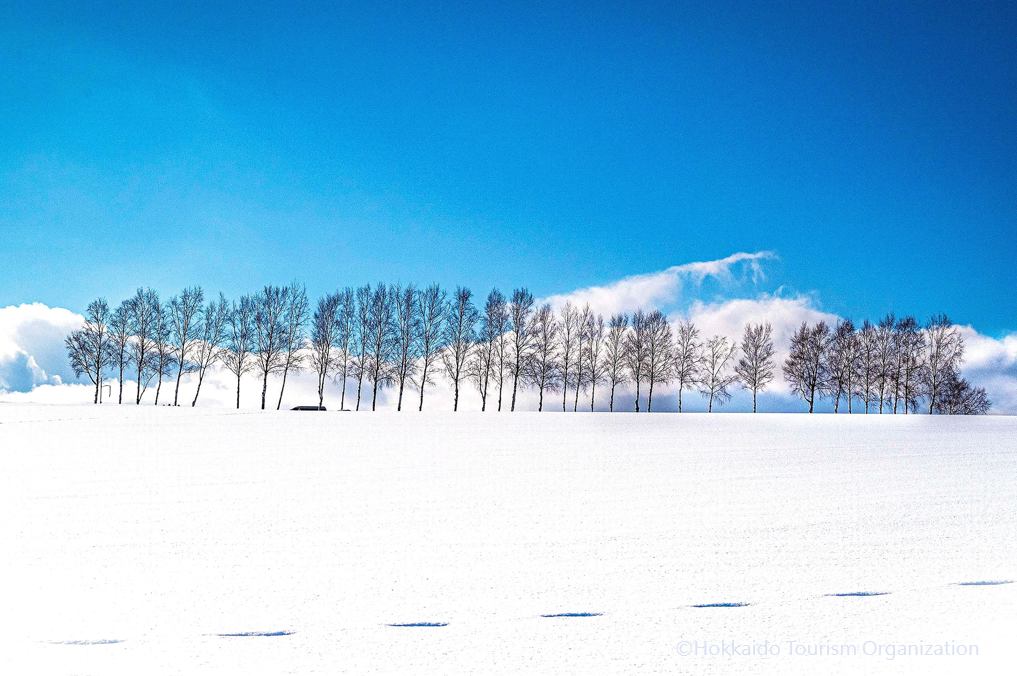 写真提供：Hokkaido Tourism Organization/禁止轉載-富良野冬風情