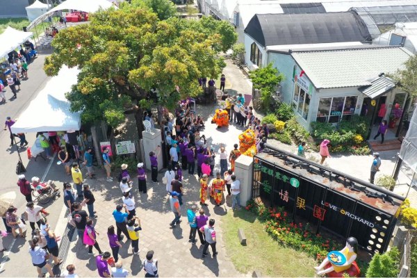 圖片載自FB愛情果園-2025稻田彩繪~天后派對 天后駕稻