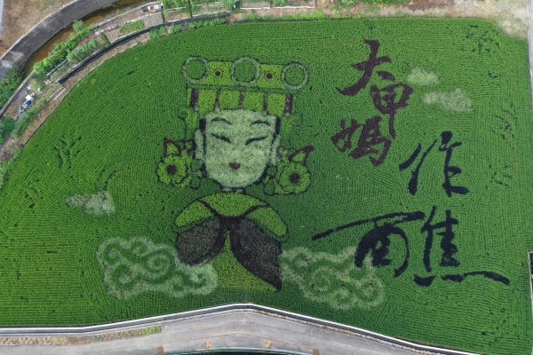 此為歷年稻田彩繪圖/圖片載自FB愛情果園-2025稻田彩繪~天后派對 天后駕稻
