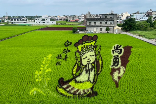 苑裡鎮農會授權提供-2025稻田彩繪~天后派對 天后駕稻