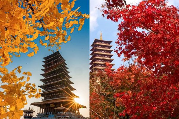 牛首山秋色-限定‧秋色