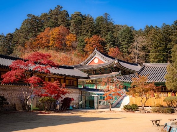 五臺山國立公園(月精寺賞楓)；韓劇《鬼怪》拍攝場景