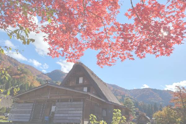 D4：合掌造古民家