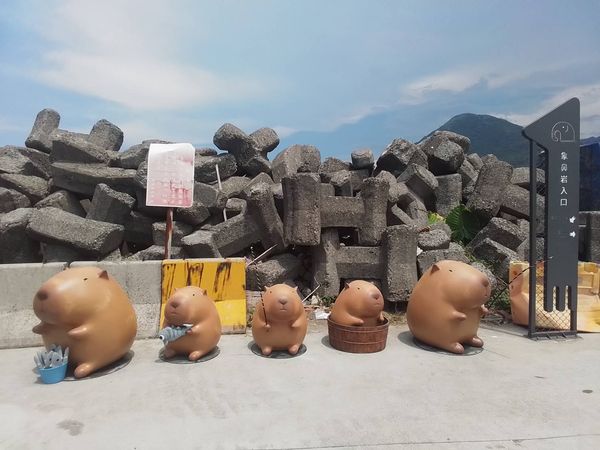 圖片來源:新北市漁業處-深澳岬角-水豚君岩(原象鼻岩)