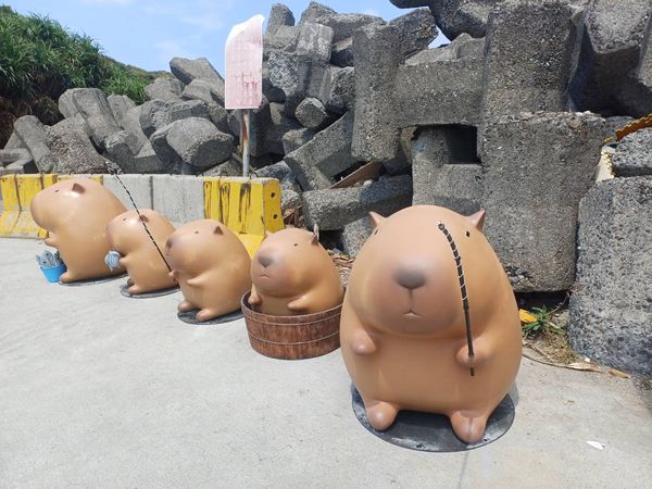 圖片來源:新北市漁業處-深澳岬角-水豚君岩(原象鼻岩)