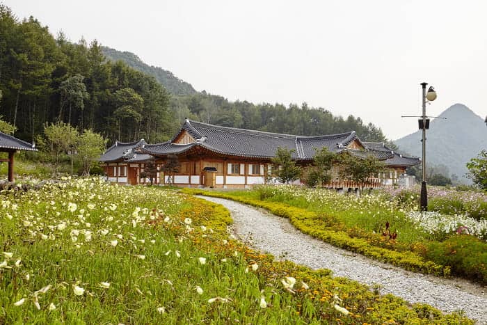 D2：大勝韓紙村(傳統韓紙製作體驗+傳統古玩+互動體驗館)