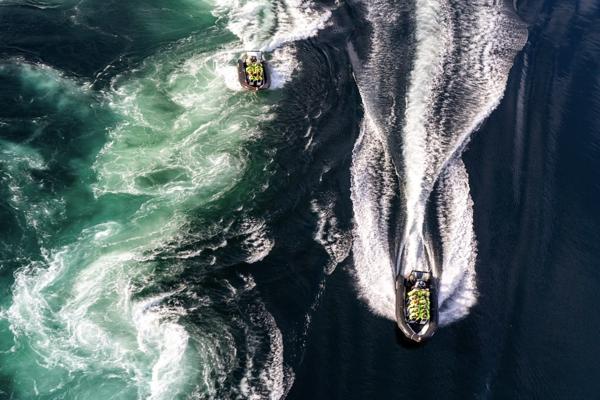 Saltstraumen(Arctic Adventures授權使用)-薩爾特流快艇(漩渦海鷹狩獵)