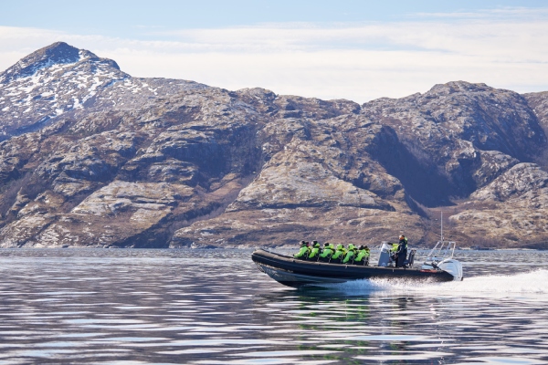 Saltstraumen(Arctic Adventures授權使用)-薩爾特流快艇(漩渦海鷹狩獵)