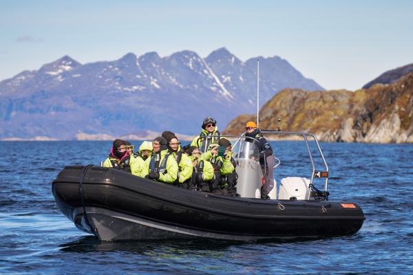 Saltstraumen(Arctic Adventures授權使用)-薩爾特流快艇(漩渦海鷹狩獵)