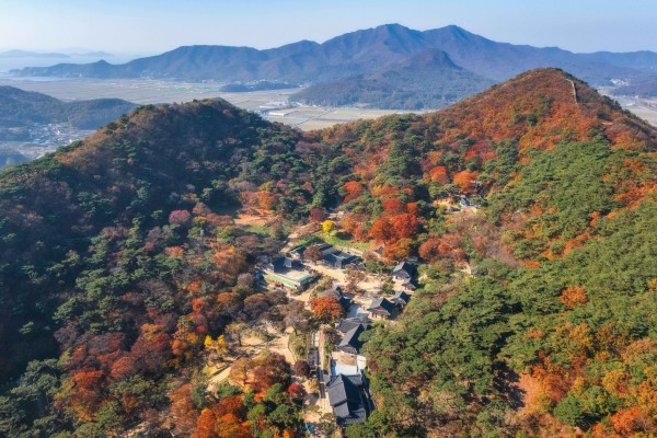 傳燈寺(賞楓)
