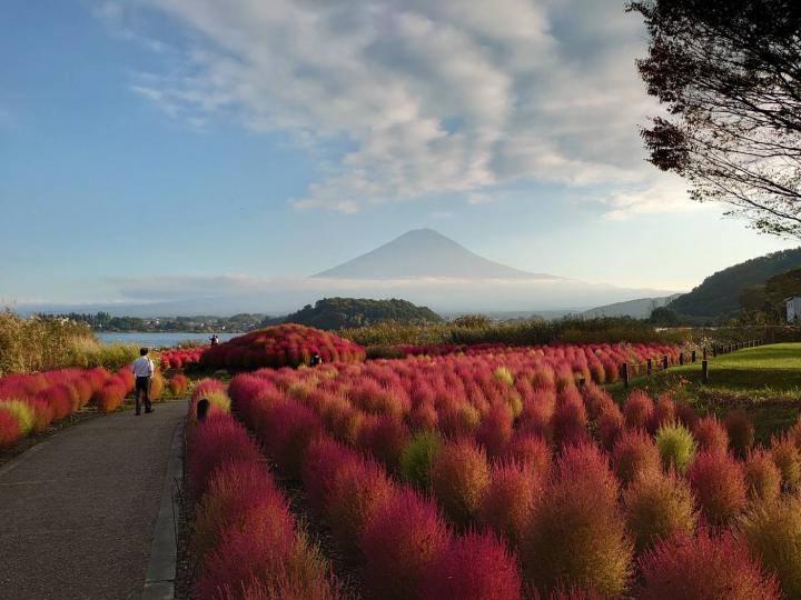 大石公園