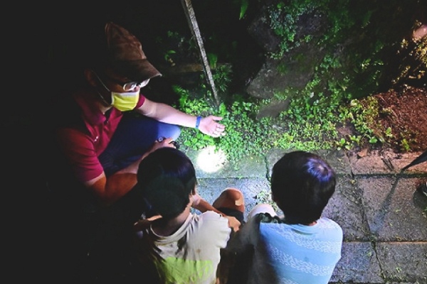 溪頭福華渡假飯店(夜間生態導覽)