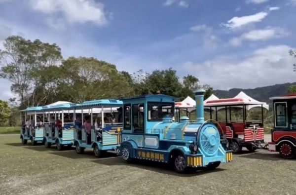 圖片來源:松錳租車粉絲團-秋日限定｜大農大富平地森林小火車×龍貓隧道