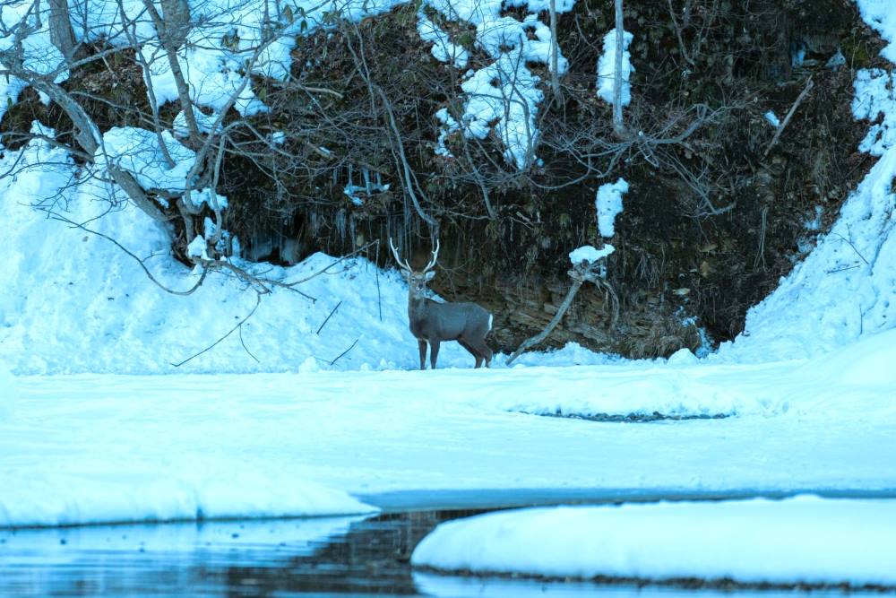 定山溪：雪地漂流探秘