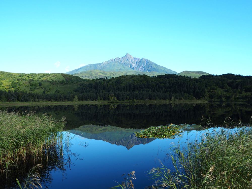 北海道官方旅遊網站-利尻島(高速船；約1小時40分鐘)