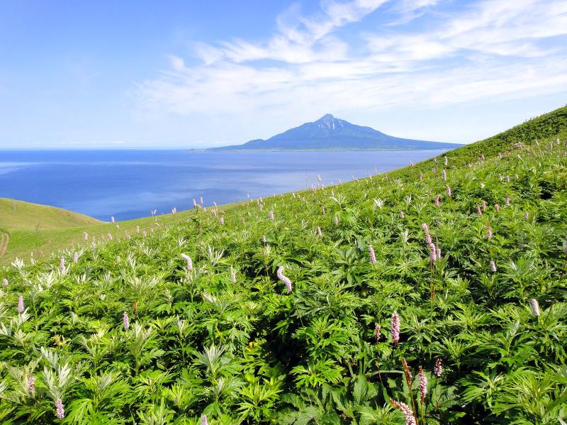 北海道観光機構-日本最北端：稚內