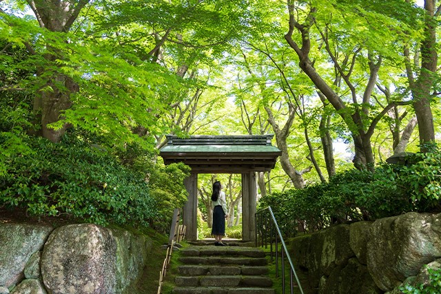 MOA美術館