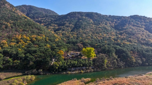密陽今是堂-D5：密陽今是堂(賞銀杏)