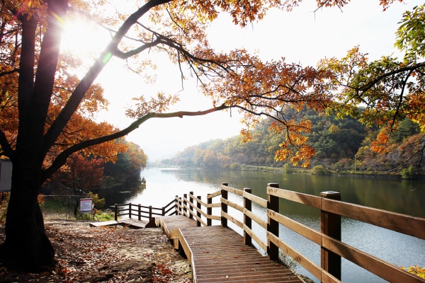 咸安入谷郡立公園(賞楓)-D1：咸安入谷郡立公園