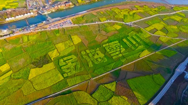 季節限定賞花景點