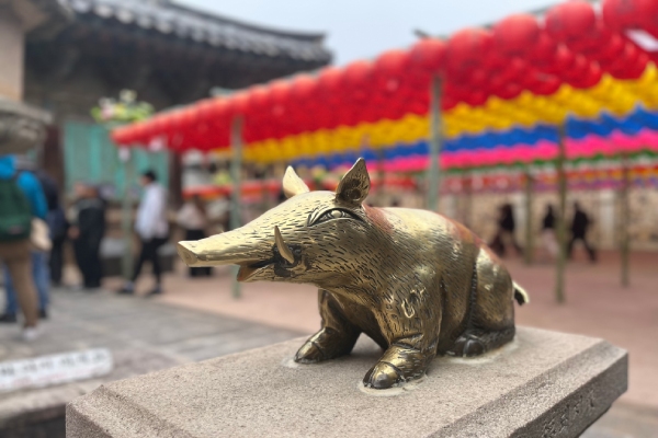 佛國寺~招財金豬-慶州古都漫遊