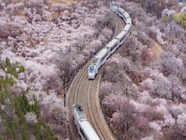 開往春天的列車(市郊鐵路S2線)
