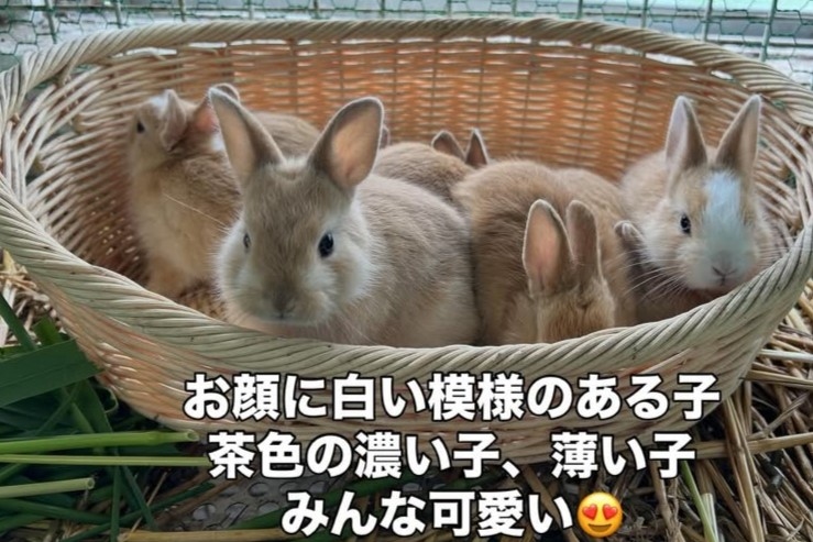 行程特色圖片