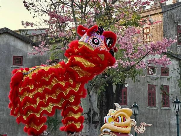 廣東春節·赤坎過大年