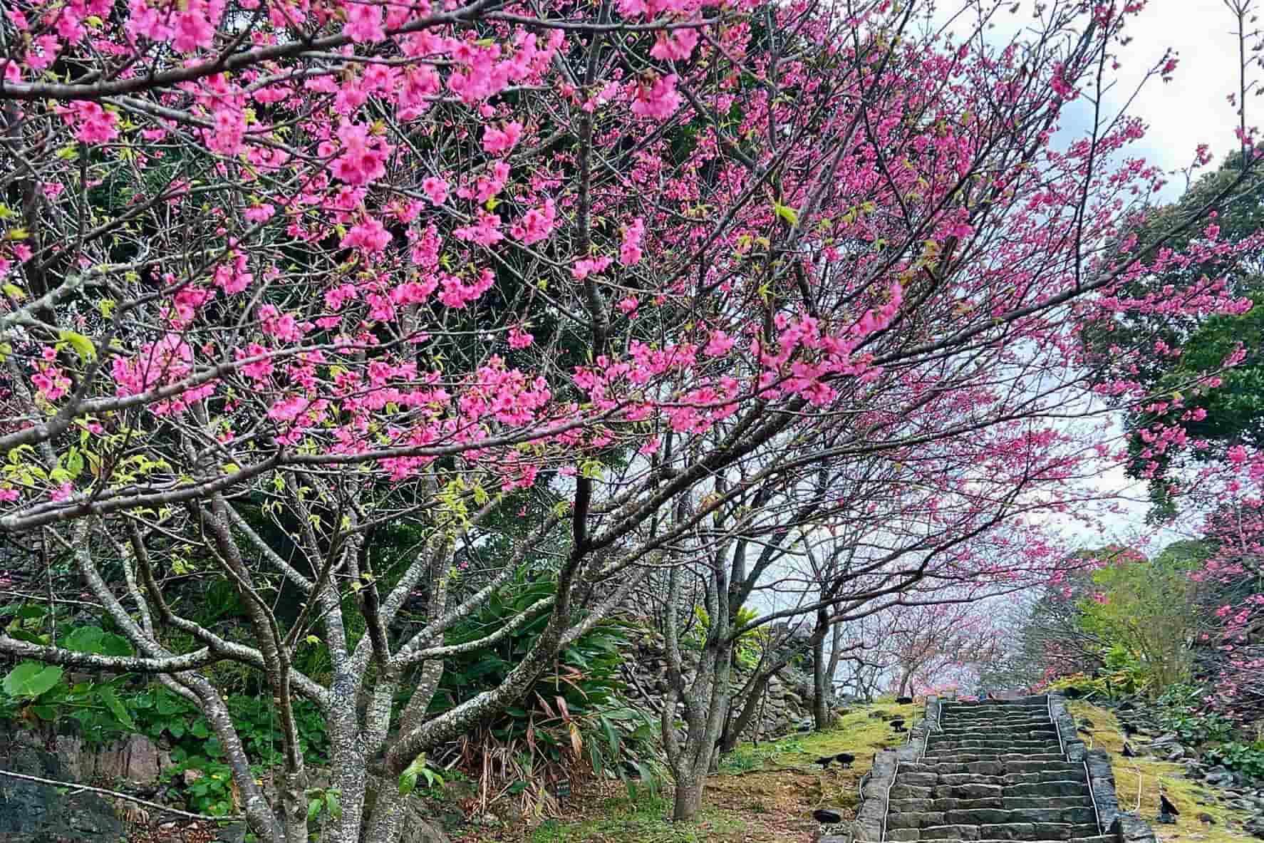 行程特色圖片