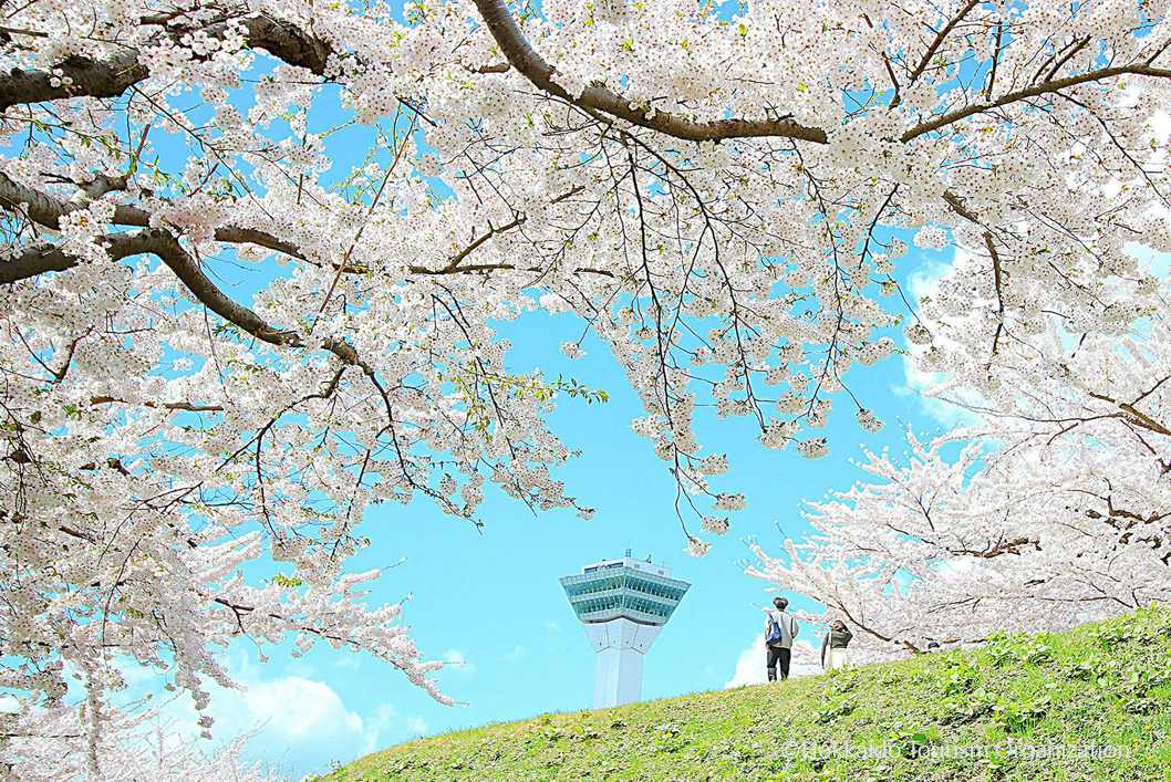 写真提供：Hokkaido Tourism Organization/禁止轉載-早鳥減2,000，再送商品抵用券
