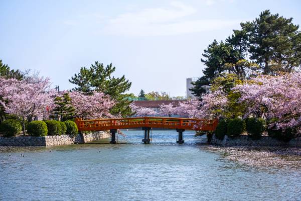 D2：九華公園～桑名城本丸跡、二之丸跡
