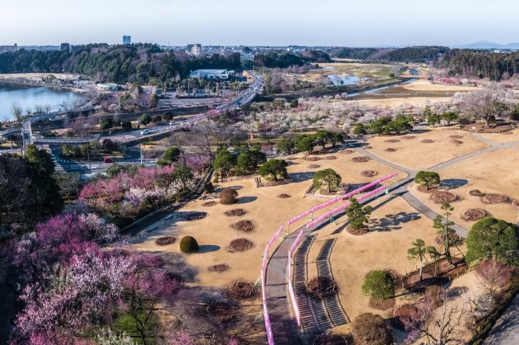D1：水戶偕樂園(日本三大名園)