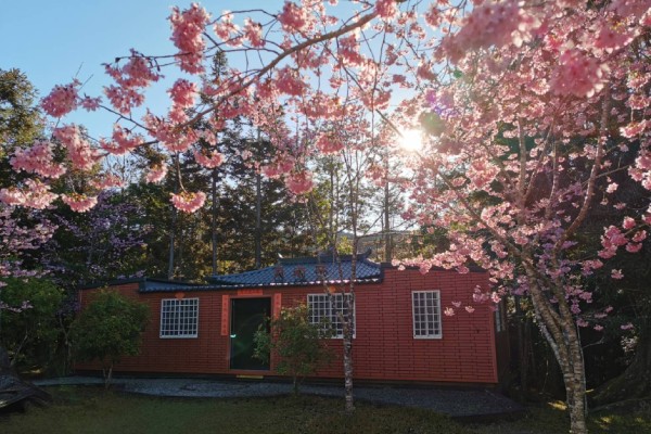 圖片載自杉林溪生態渡假園區官網-年節祈福集錦~求財、姻緣、健康、事業一次滿足!