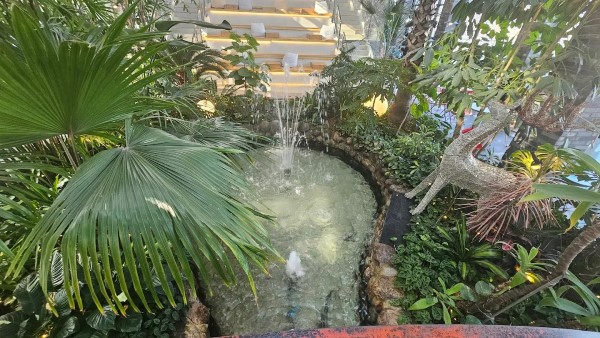 TREEBRING森林咖啡廳