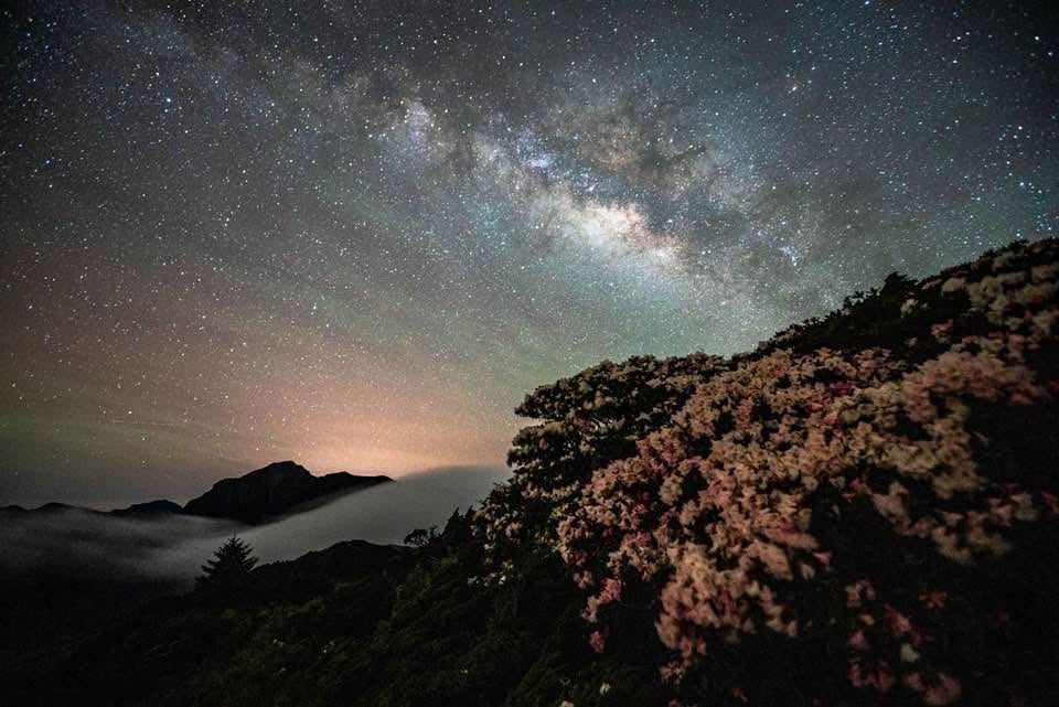杜鵑花季，照片來源:邱教官FB-【合歡山賞夕陽＋銀河之旅】
