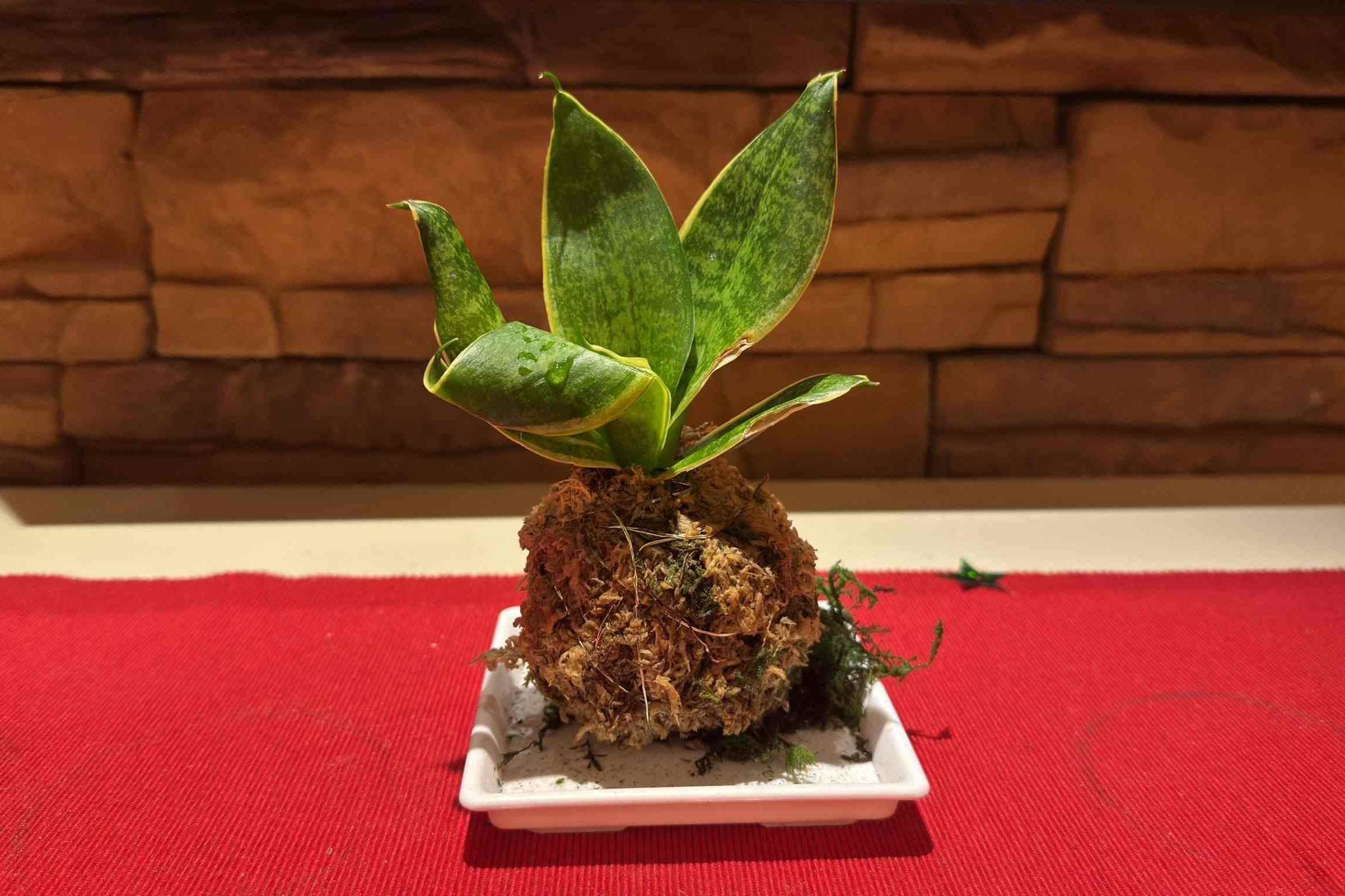 ★巧手趣DIY★