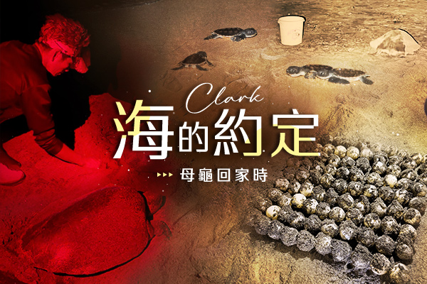 行程特色圖片