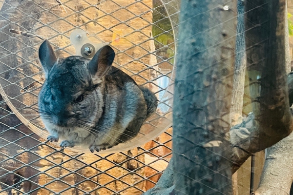 行程特色圖片