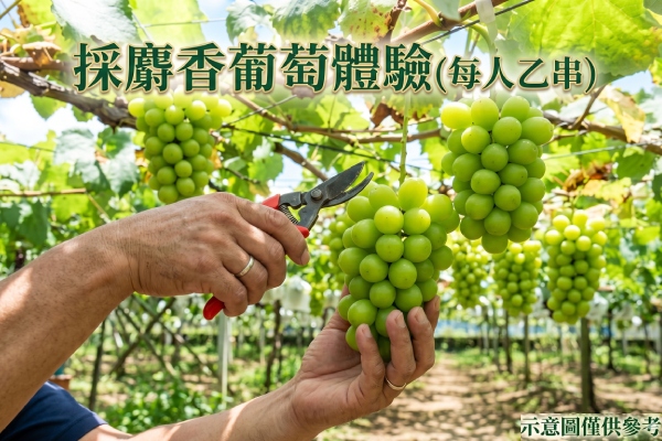 行程特色圖片