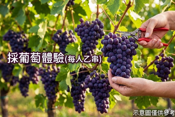 行程特色圖片