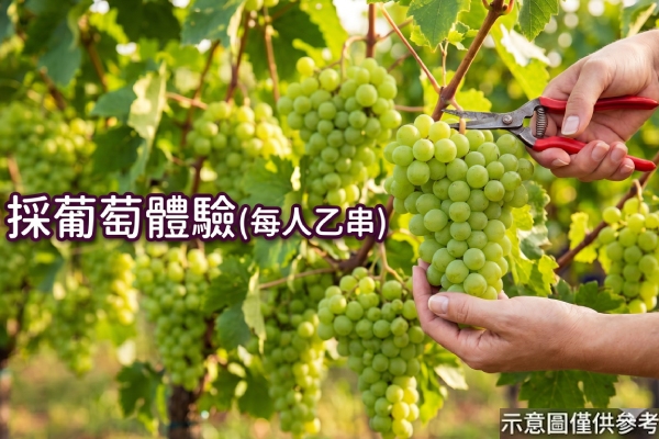 行程特色圖片