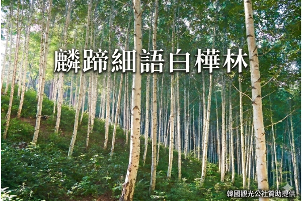 行程特色圖片