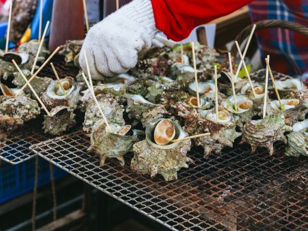 行程特色圖片