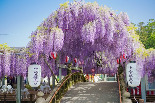 行程特色圖片