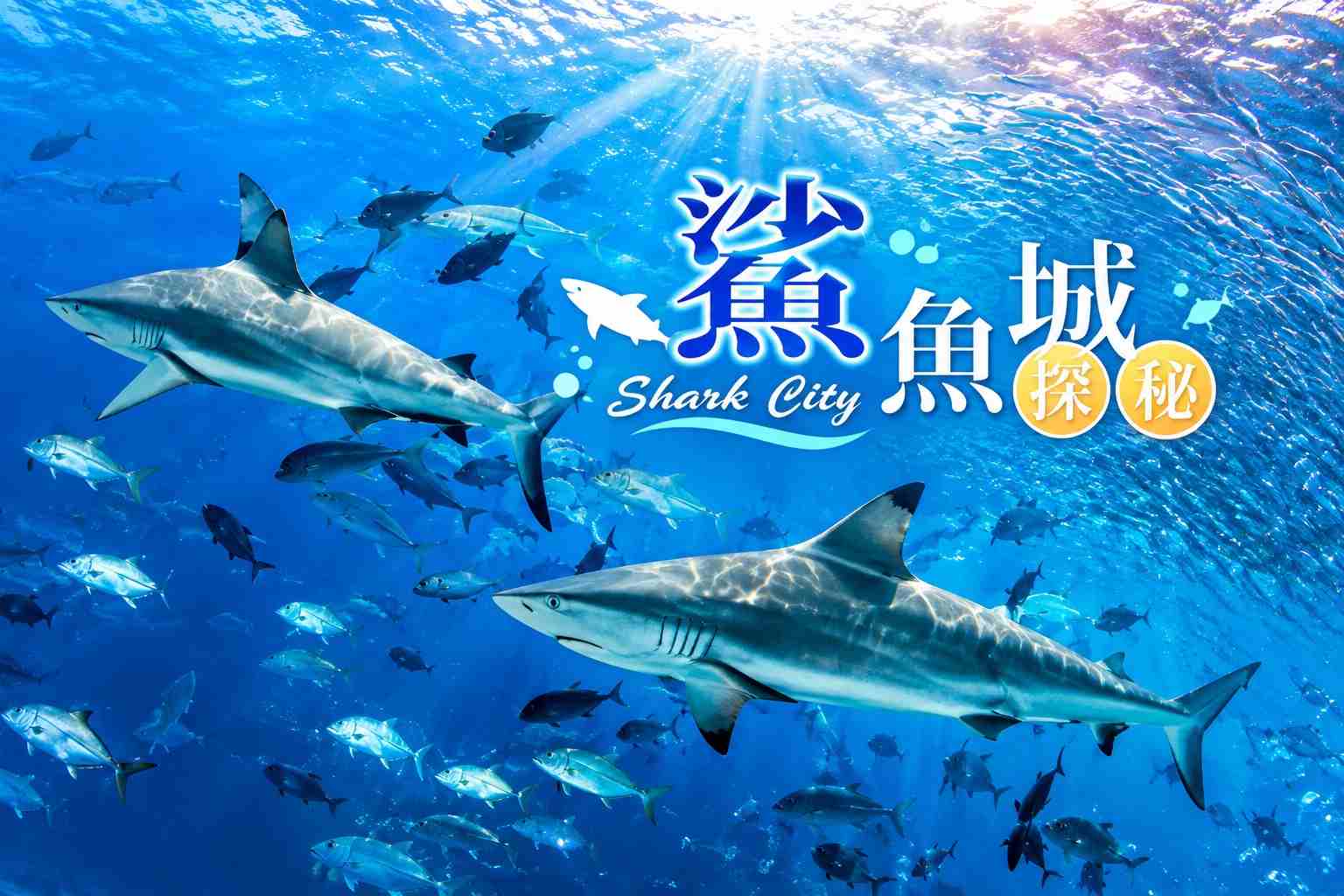 行程特色圖片