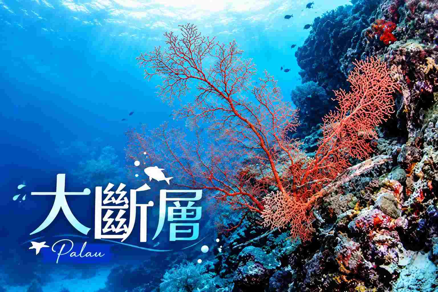 行程特色圖片