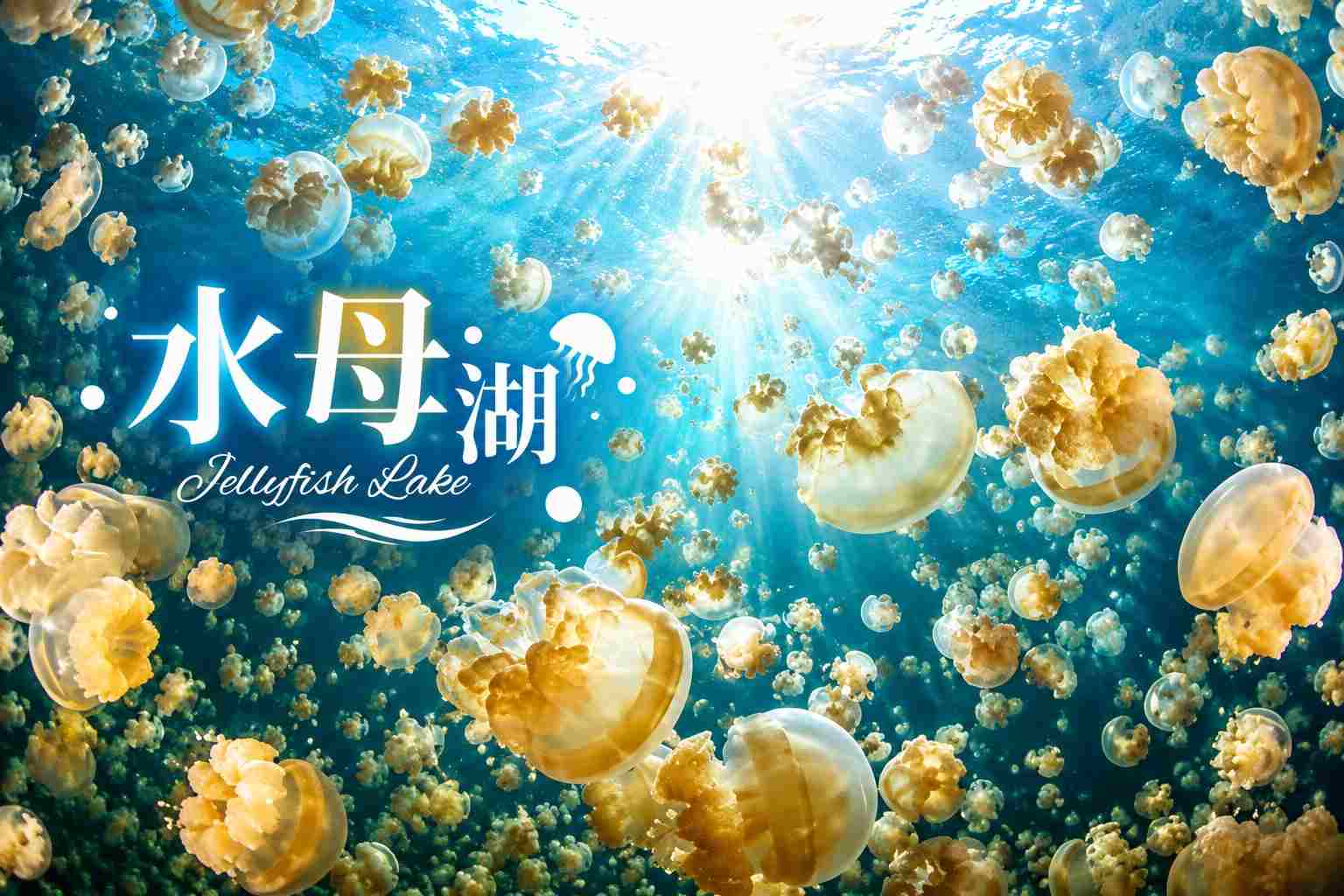 行程特色圖片