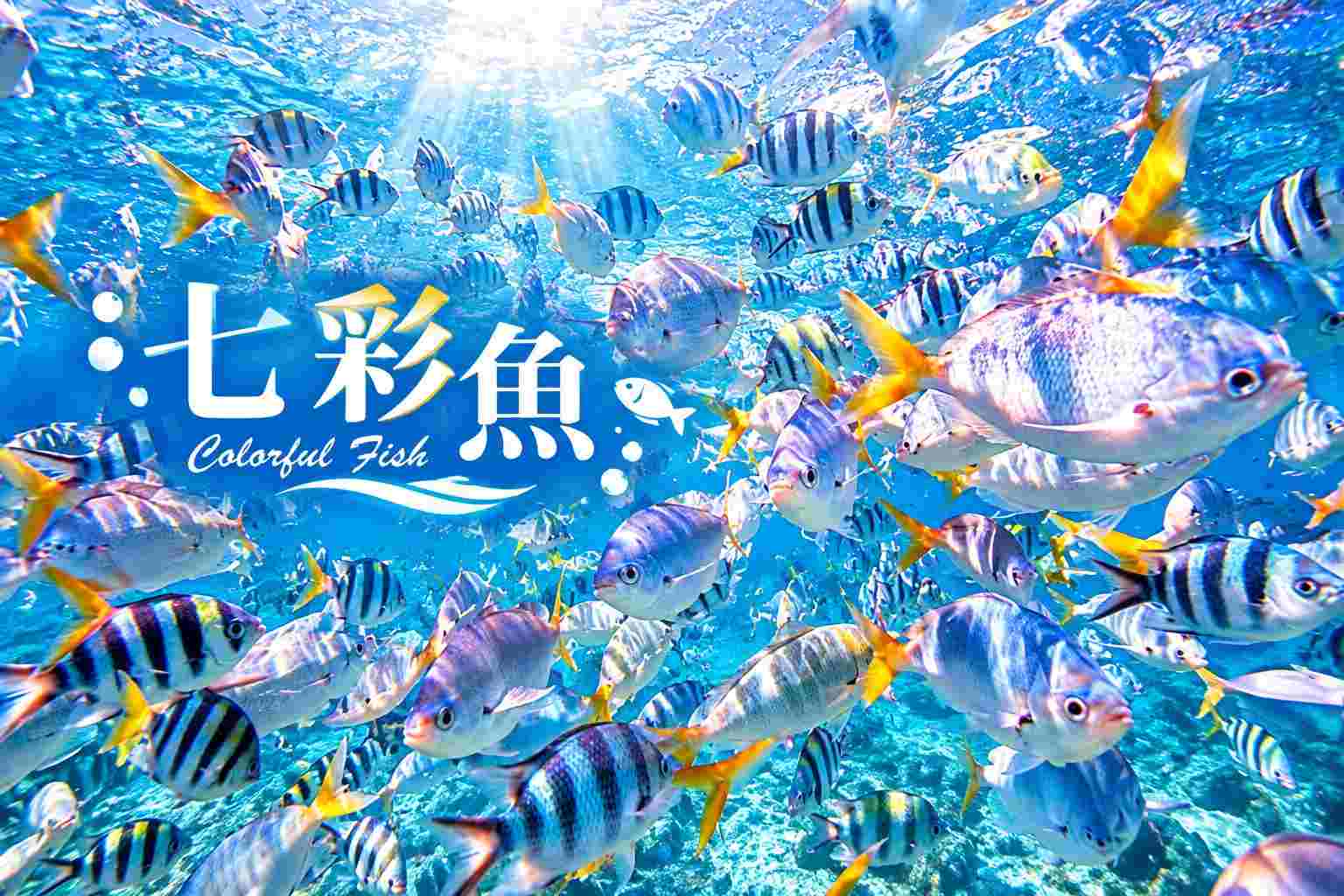 行程特色圖片